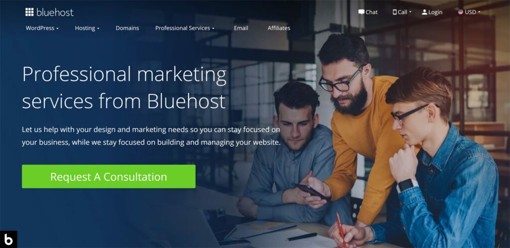 Professional marketing by Bluehost 2023