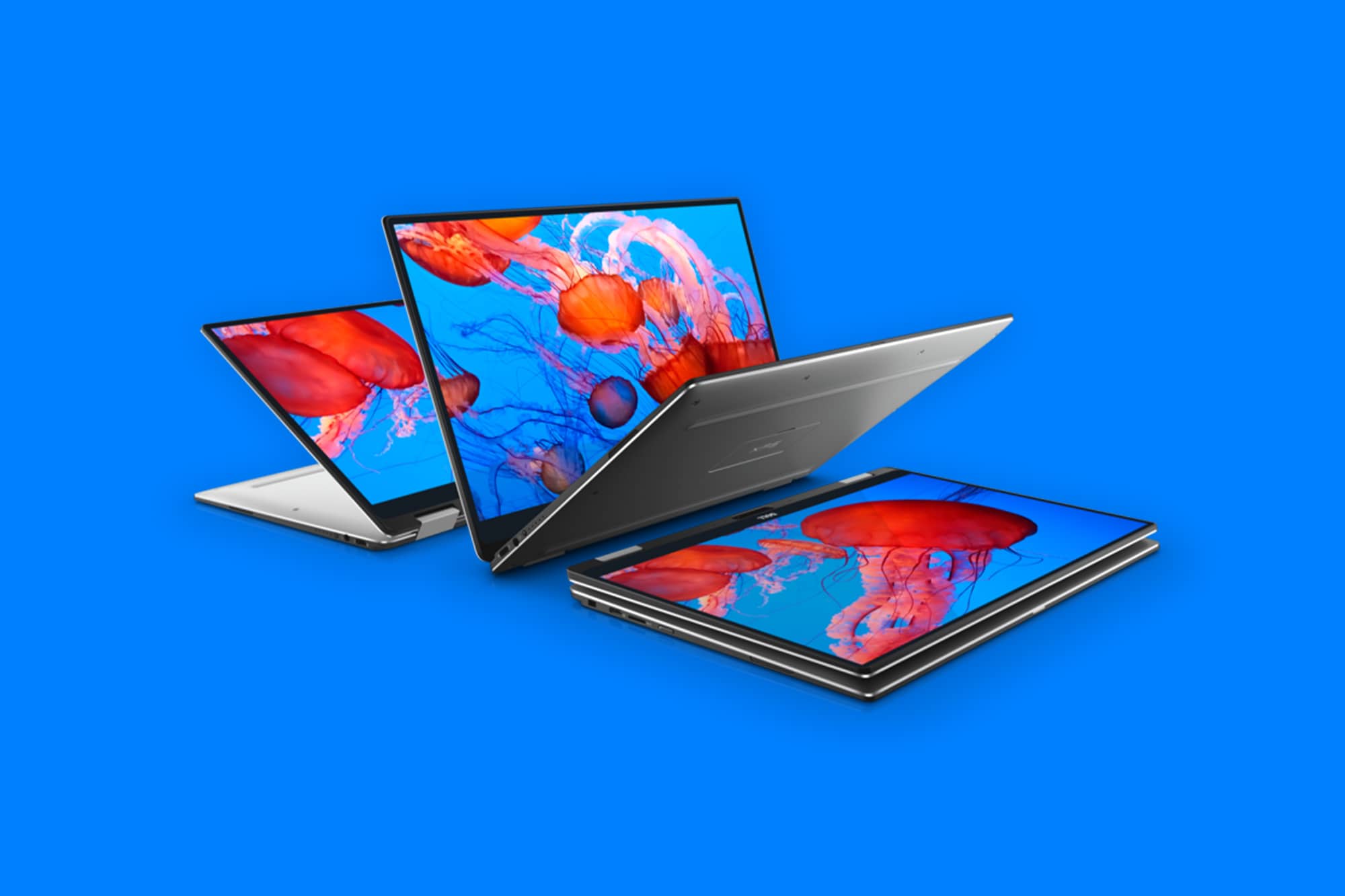 This is the cover photo for our Best 13 Inch Laptops article. It features a Dell XPS 13 laptop overlaying a royal blue background.