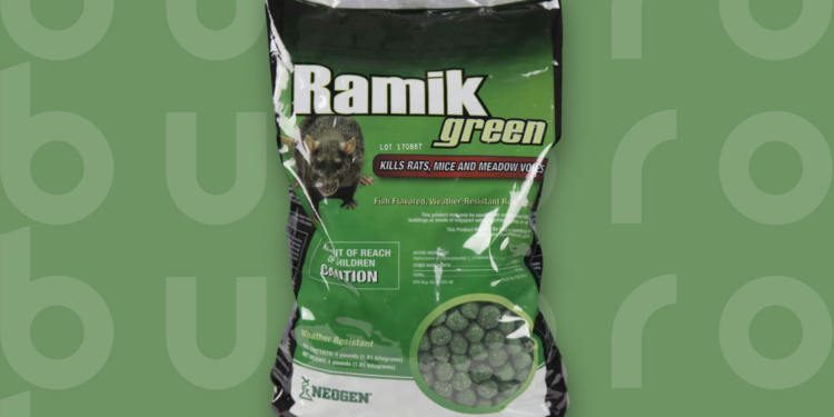 This is the cover photo for our Best Rat Poison article. It features a bag of Ramik Green rat poison overlaying a green background with an embossed Burbro logo.