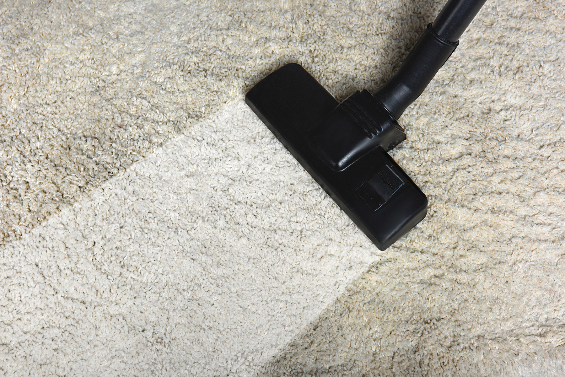 How to Deep Clean Your Carpets in 27  Our How-To Guide  Burbro